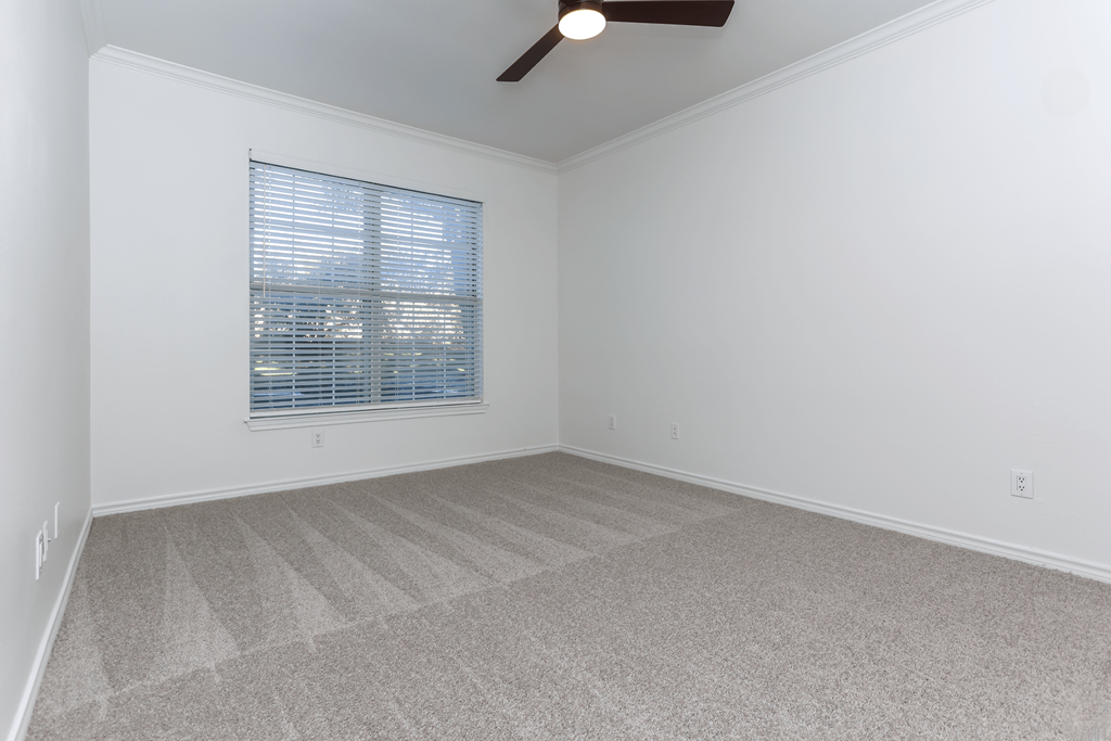 A room with a carpeted floor and a window with blinds.